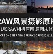 单场足球买比分-单场足球买比分，理性与风险的博弈场