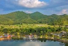 竞彩足球比分新浪直播-竞彩足球比分新浪直播，球迷的实时战场与智慧博弈场