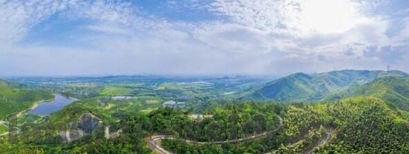 足球竞赛比分500-足球盛宴，当比分邂逅500的梦幻时刻